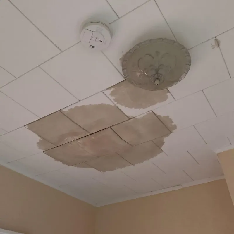 Ceiling Water Damage Repair in Cuba City, WI